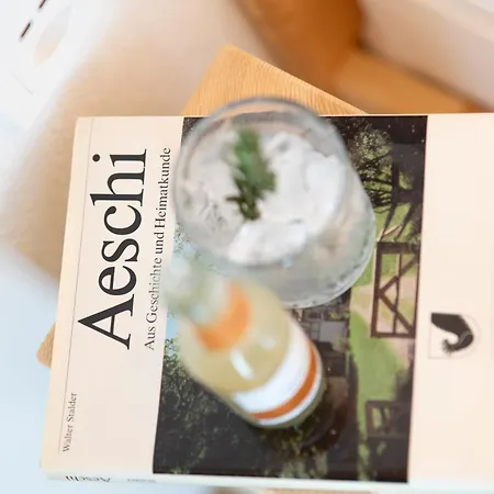 Hotel Bergblick - 3 Sterne Garni - Neueroeffnung Aeschi Bei Spiez