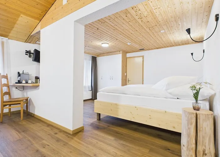 Bergblick - 3 Sterne Garni - Neueroeffnung 3* Aeschi Bei Spiez